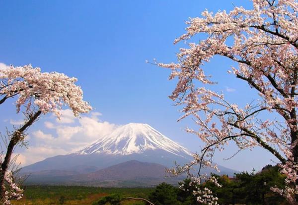 富士缘度假村别墅